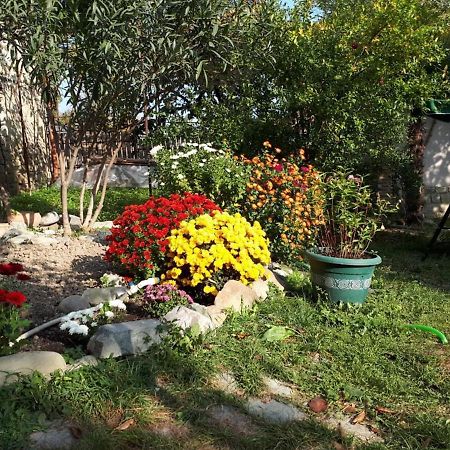 Old House Apartment With Garden Area Mtsʼkhetʼa Екстериор снимка