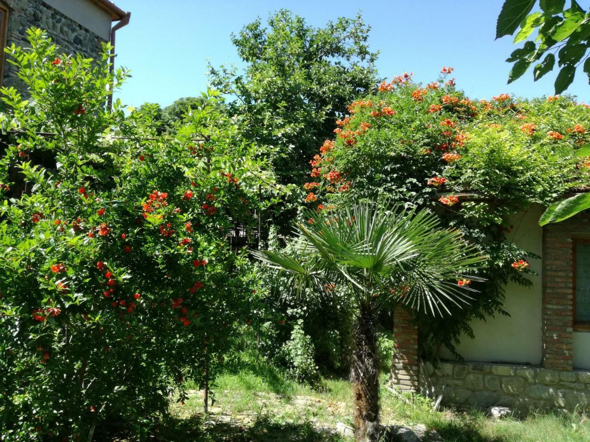 Old House Apartment With Garden Area Mtsʼkhetʼa Екстериор снимка